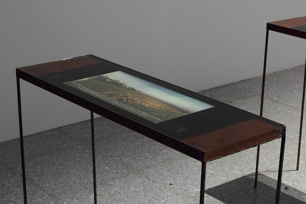 Condensate, Photographs on steel, epoxy resin, wood, video, resin, Artium, Vitoria-Gasteiz, 2014.