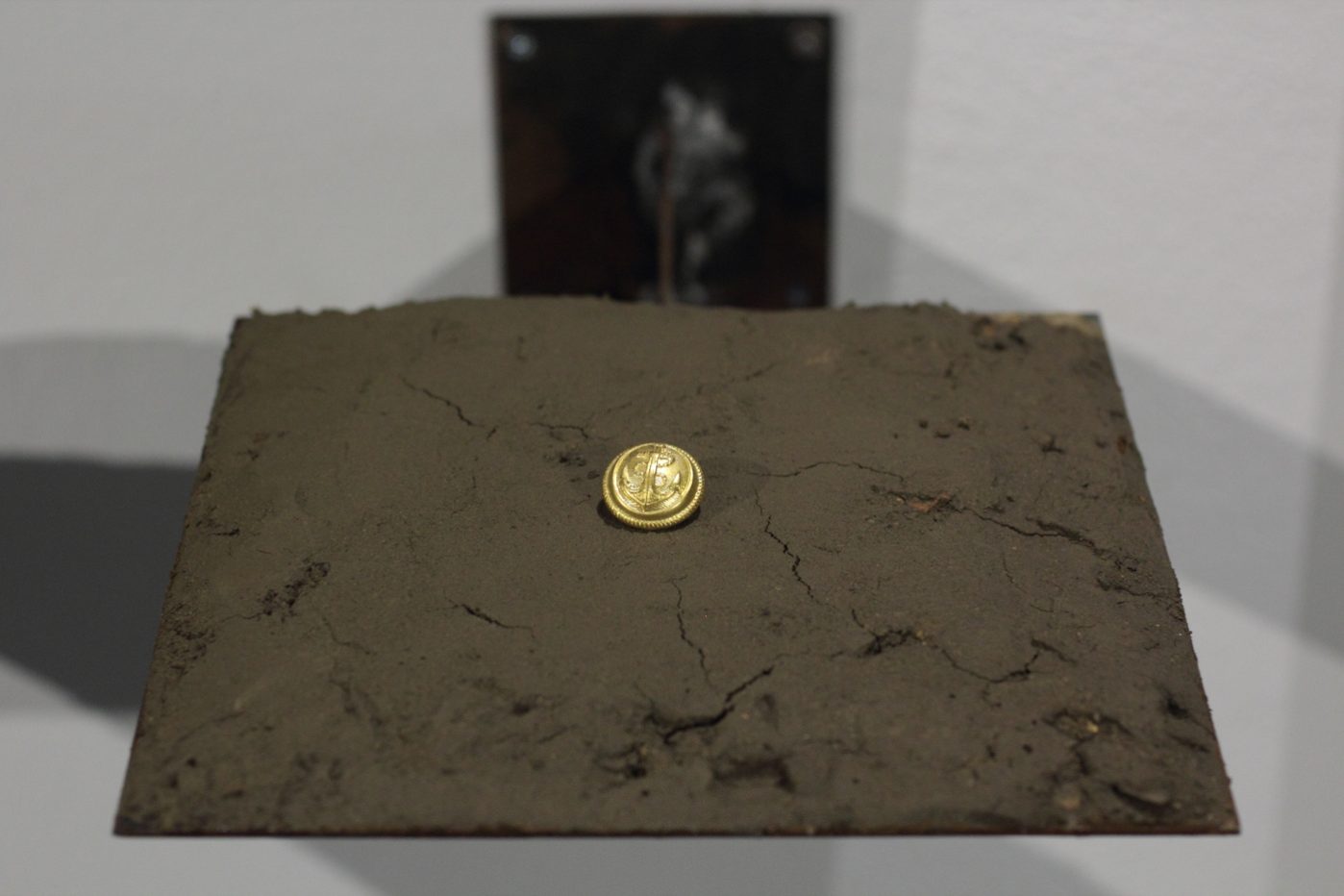 The fever (numismatic value), Steel, soil samples, brass, printing, etching. 2013, installation